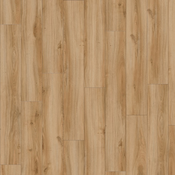 Classic Oak 24837 Moduleo Select, How To Install Dry Back Vinyl Flooring On Concrete